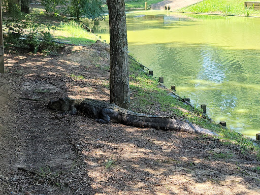 Zoo «Gators and Friends», reviews and photos, 11441 US-80, Greenwood, LA 71033, USA