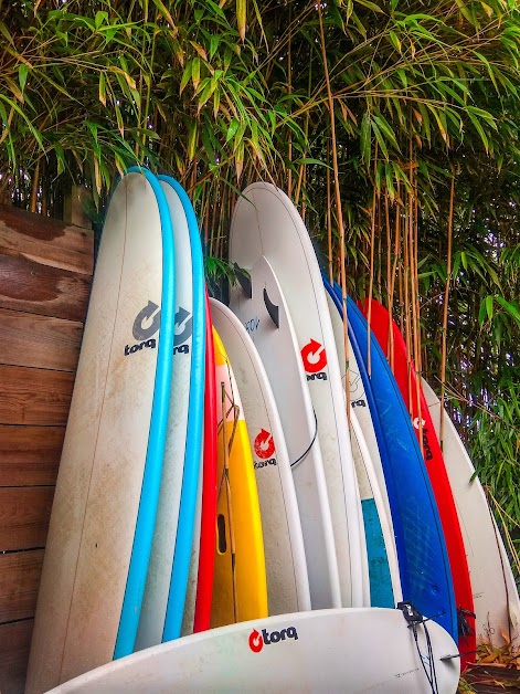 Surf Sport Lodge à Léon (Landes 40)