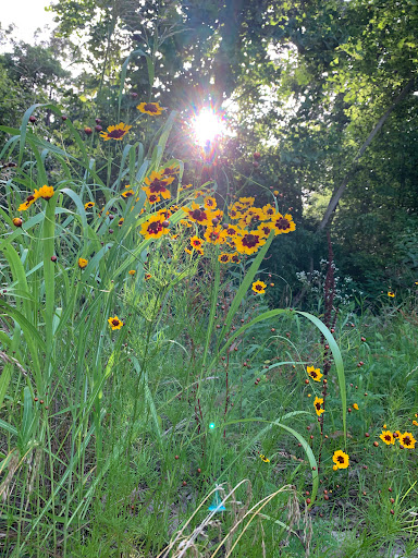 Park «Allsopp Park», reviews and photos, 3700 Cedar Hill Rd, Little Rock, AR 72202, USA