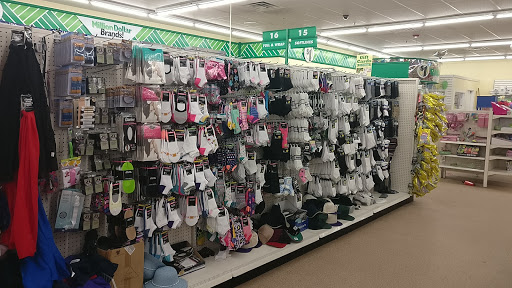 Dollar Store «Dollar Tree», reviews and photos, 22-03 Fair Lawn Ave, Fair Lawn, NJ 07410, USA