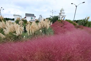 Jeju herb garden image