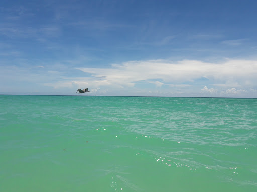 Park «North Shore Open Space Park», reviews and photos, 8328 Collins Ave, Miami Beach, FL 33141, USA