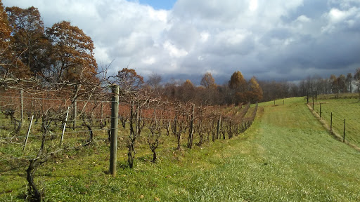 Winery «Christian W Klay Winery», reviews and photos, 412 Fayette Springs Rd, Chalkhill, PA 15421, USA