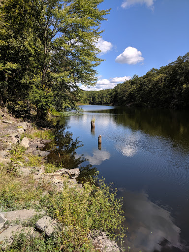 Nature Preserve «John Burroughs Slabsides», reviews and photos, Burroughs Dr, West Park, NY 12493, USA