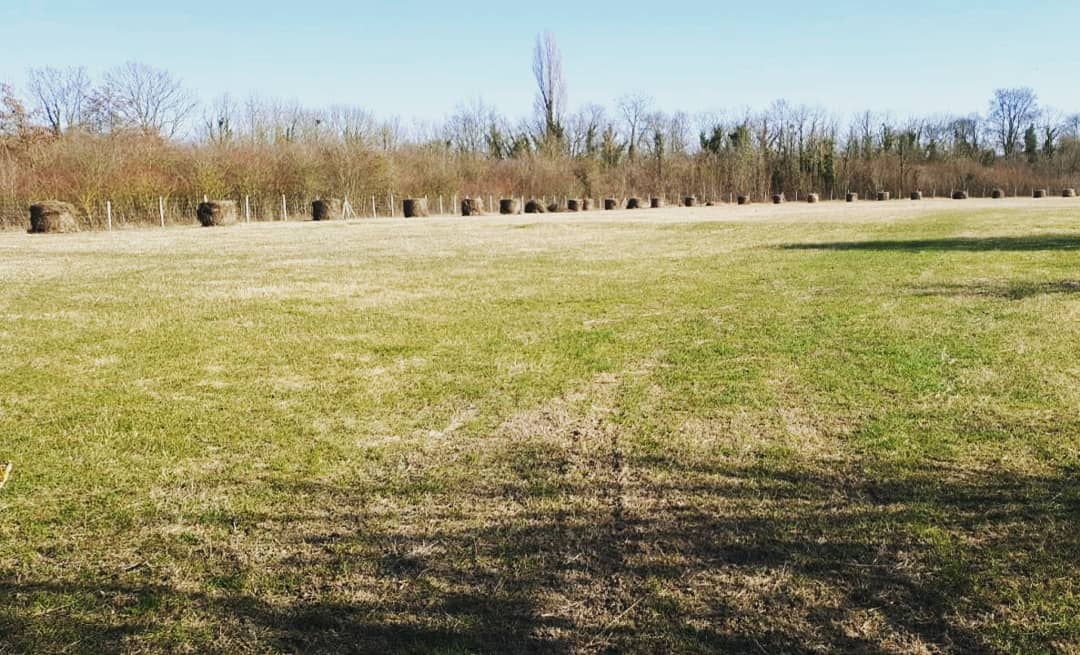 Photo n° 1 de l'avis de Marion.r fait le 08/03/2019 à 21:09