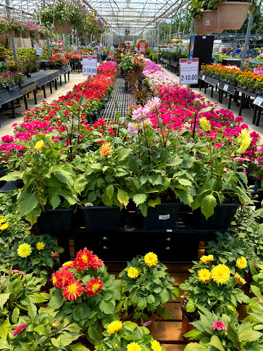 Garden Center «Stauffers of Kissel Hill Home & Garden Store», reviews and photos, 4450 Lincoln Hwy, York, PA 17406, USA