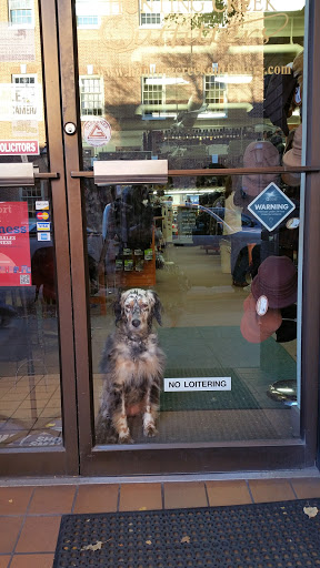 Toy Store «Dancing Bear Toys and Gifts», reviews and photos, 15 E Patrick St, Frederick, MD 21701, USA