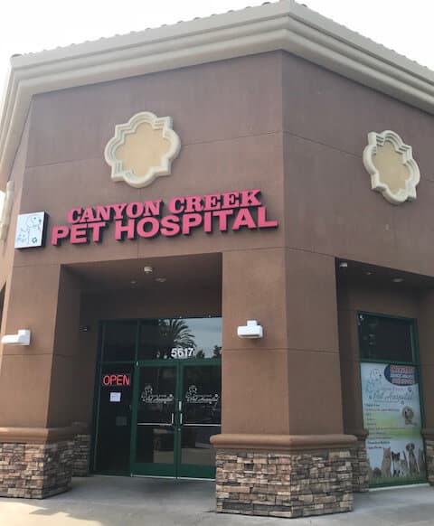 Canyon Creek Pet Hospital, A Thrive Pet Healthcare Partner