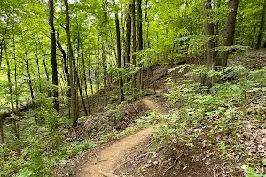 Schoen Creek Trail image