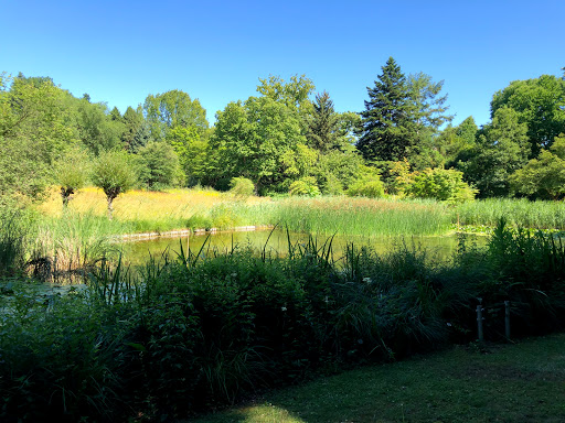 Botanischer Garten Frankfurt