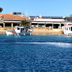 Photo n°24 de l'avis de Ralf.i fait le 09/12/2018 à 12:13 sur le  Ristorante da Tonino Re di Tavolara à Loiri Porto San Paolo