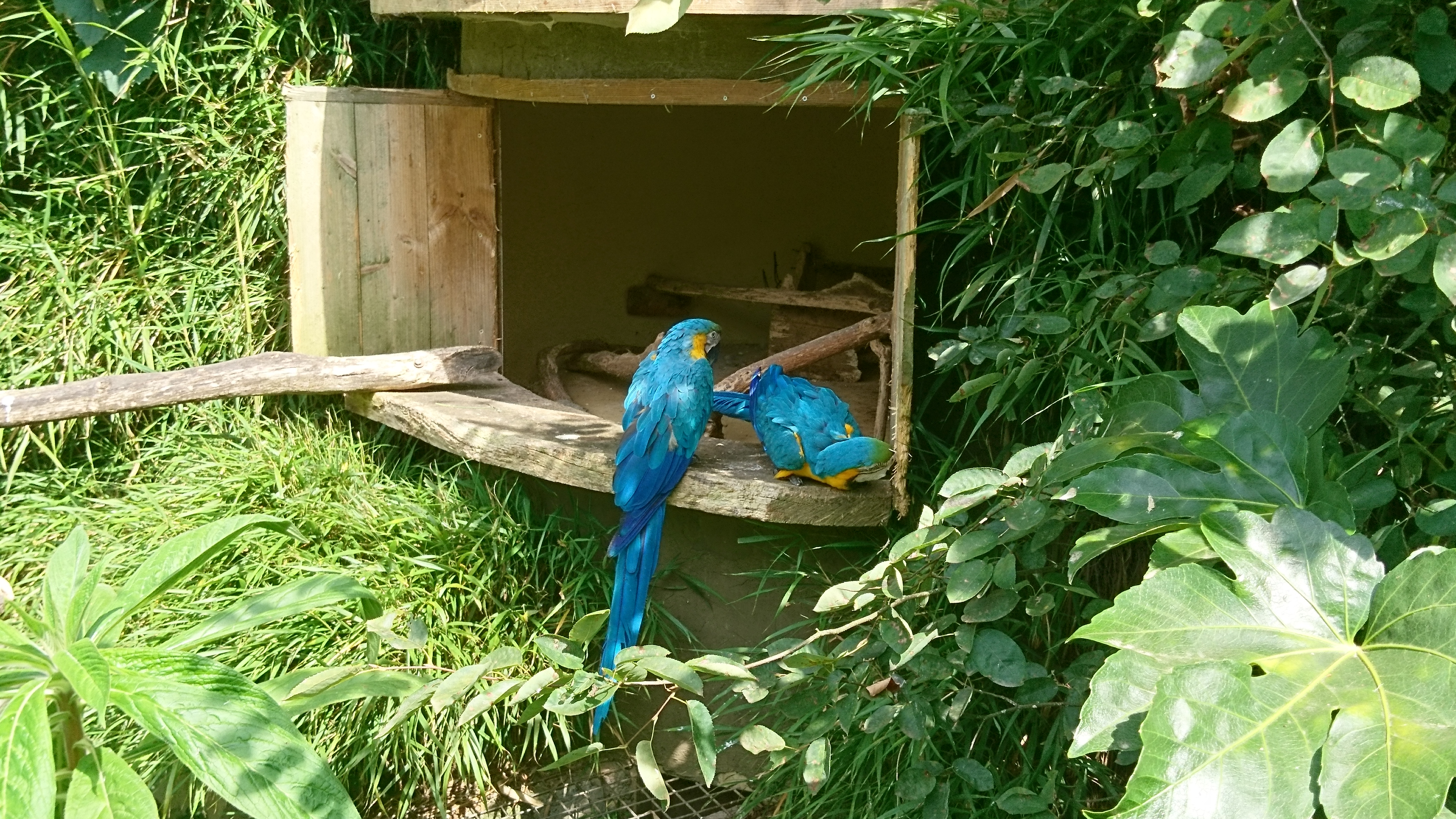 Photo n° 14 de l'avis de Philippe.e fait le 07/08/2017 à 14:04