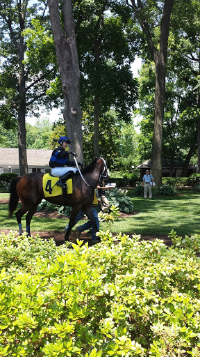 Casino «Casino @ Delaware Park», reviews and photos, 777 Delaware Park Blvd, Wilmington, DE 19804, USA