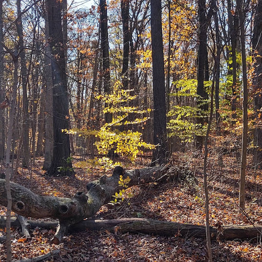 Sugarbush Trail