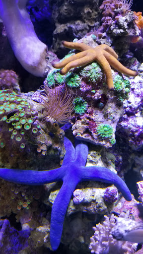 Pet Store «Pet World», reviews and photos, 891 Harriman Pl, San Bernardino, CA 92408, USA