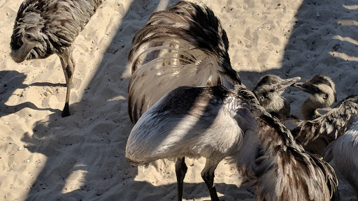 Zoo «Gulf Breeze Zoo», reviews and photos, 5701 Gulf Breeze Pkwy, Gulf Breeze, FL 32563, USA