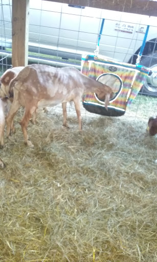 Fairground «Tioga County Fair Grounds», reviews and photos, 2258 Charleston Rd, Wellsboro, PA 16901, USA