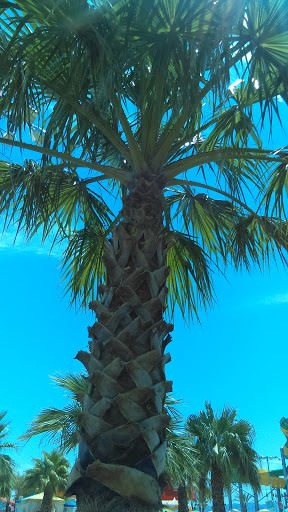 Water Park «Cowabunga Bay Las Vegas», reviews and photos, 900 Galleria Dr, Henderson, NV 89011, USA