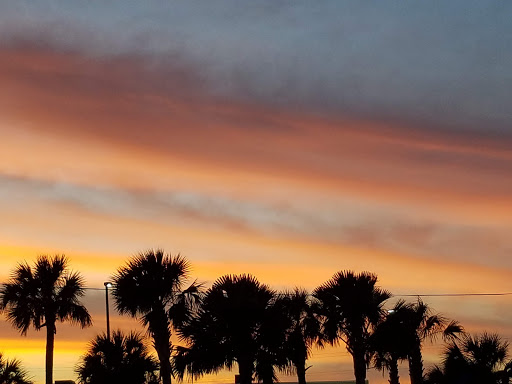 Shopping Mall «Tarpon Mall», reviews and photos, 40952 US-19, Tarpon Springs, FL 34689, USA