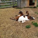 Photo n°20 de l'avis de f. fait le 07/10/2018 à 19:48 sur le  Hotel Pfösl à Deutschnofen