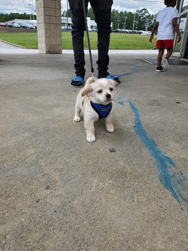 Pet Supply Store «Pet Supermarket», reviews and photos, 3821 S Cobb Dr, Smyrna, GA 30080, USA