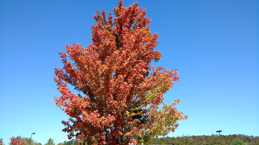 Supermarket «Publix Super Market at Summit Point», reviews and photos, 840 Glynn St S, Fayetteville, GA 30214, USA