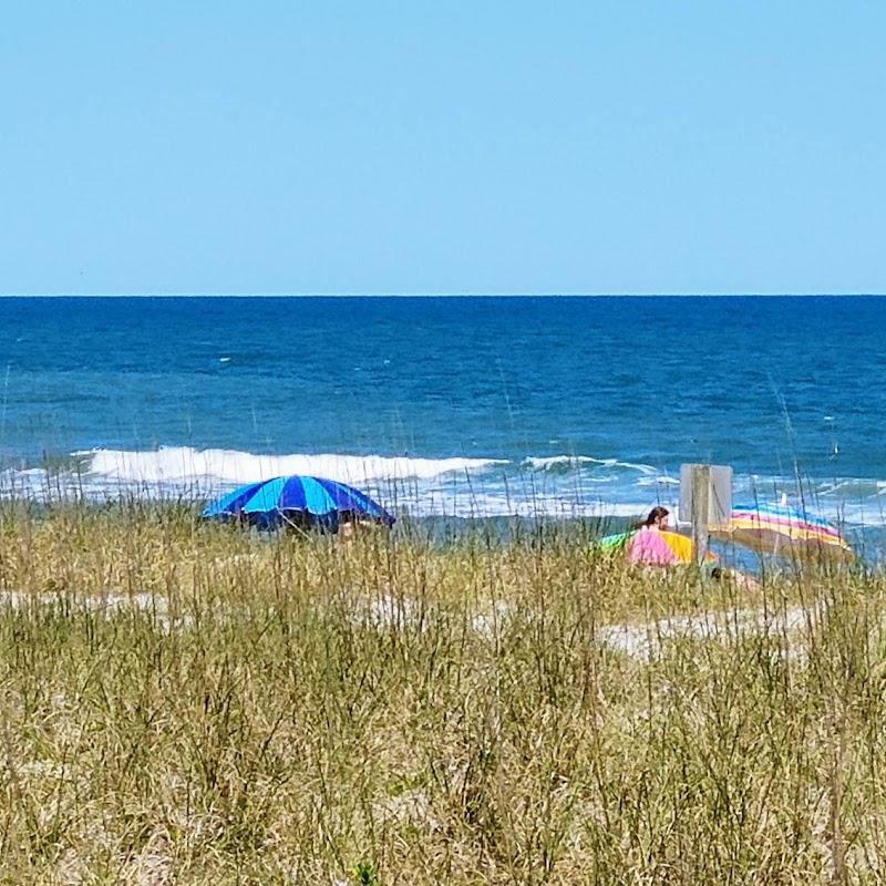 Doublewood on the Beach