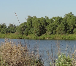 Sendero Ecológico de la Laguna México photo