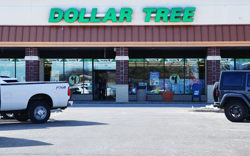 Dollar Store «Dollar Tree», reviews and photos, 124 E Geneva Square, Lake Geneva, WI 53147, USA