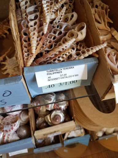 Gift Shop «The Shell Store», reviews and photos, 8211 Ulmerton Rd, Largo, FL 33771, USA