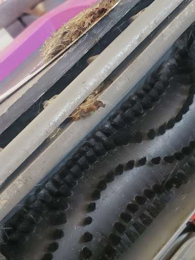 Pet Supply Store «PetSmart», reviews and photos, 2833 35th Ave, Greeley, CO 80634, USA