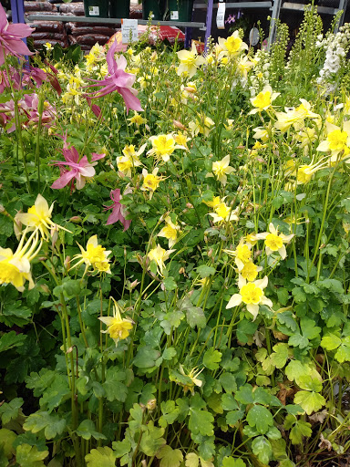 Home Improvement Store «The Home Depot», reviews and photos, 100 Arthur F Brady Dr, Portsmouth, NH 03801, USA