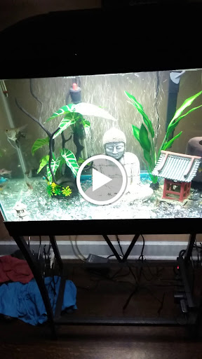 Pet Store «Fish R Us», reviews and photos, 10855 TX-242, Conroe, TX 77385, USA