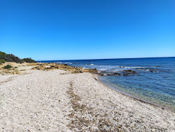 Porto Corallino Beach'in fotoğrafı doğal alan içinde bulunmaktadır