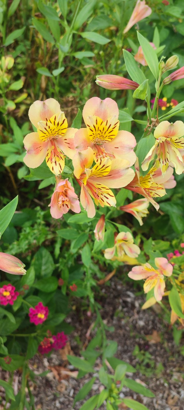 Photo n° 1 de l'avis de Maryline.a fait le 29/08/2023 à 19:52