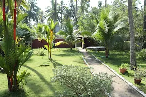 Sreechithra Ayur home (Ayurveda resort) image