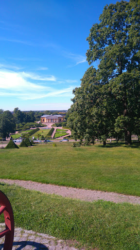 ReAct, Uppsala Universitet