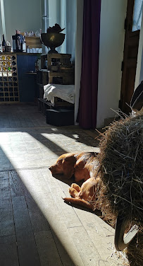 Photos du propriétaire du Restaurant La Maison Fleur de Frangipanier à Saint-Genix-les-Villages - n°7