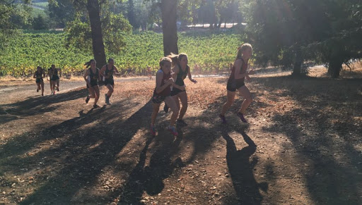 Running Store «Healdsburg Running Company», reviews and photos, 333 Center St, Healdsburg, CA 95448, USA