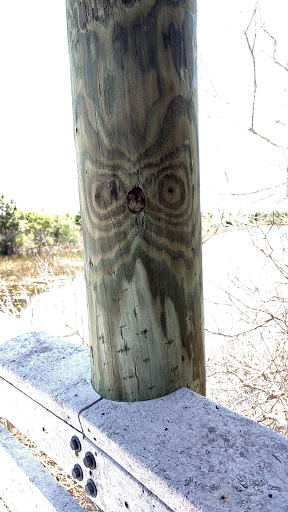 Nature Preserve «Chapel Trail Nature Preserve», reviews and photos, 19800 Sheridan St, Fort Lauderdale, FL 33332, USA