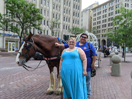 Carriage Ride Service «Blue Ribbon Carriages», reviews and photos, 1 Monument Cir, Indianapolis, IN 46204, USA