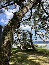 「岩見重太郎仇討ちの場」記念碑