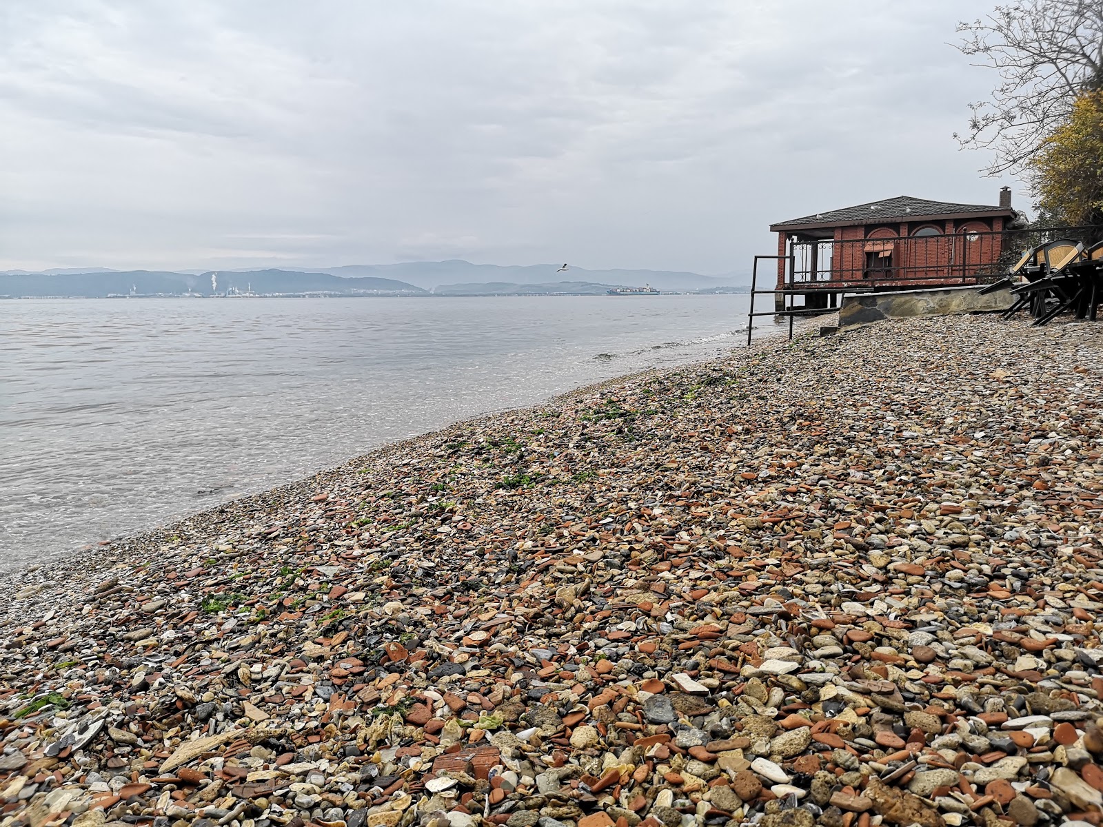 Valokuva Darica beach IIista. pinnalla ruskea kivi:n kanssa