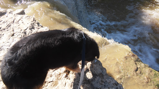 Park «Northwest Community Park», reviews and photos, 8575 Blue Mound Rd, Fort Worth, TX 76137, USA