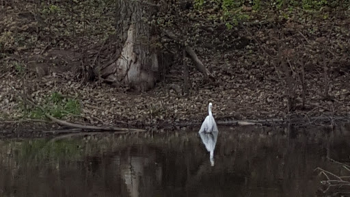 Park «Augsburg Park», reviews and photos, 7145 Wentworth Ave S, Richfield, MN 55423, USA