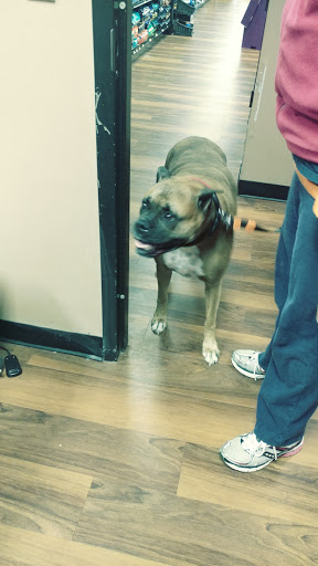 Pet Store «Pet Valu», reviews and photos, 2645 Shillington Rd, Sinking Spring, PA 19608, USA