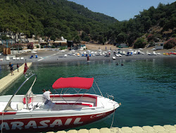 Aşı Koyu Plajı'in fotoğrafı doğal alan içinde bulunmaktadır