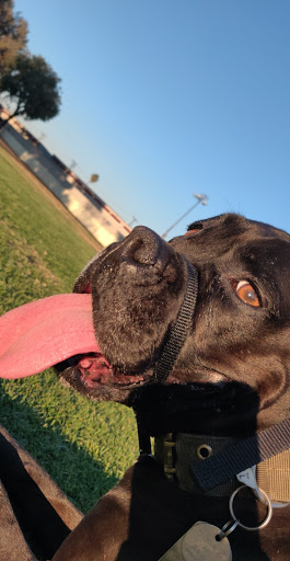 Park «Greer Park», reviews and photos, 6900 W McFadden Ave, Huntington Beach, CA 92647, USA