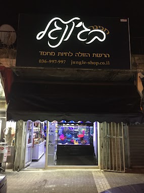 חגיגה בג'ונגל