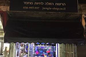 חגיגה בג'ונגל image